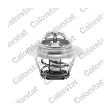 Thermostat, liquide de refroidissement CALORSTAT by Vernet TH5955.88J LAND ROVER