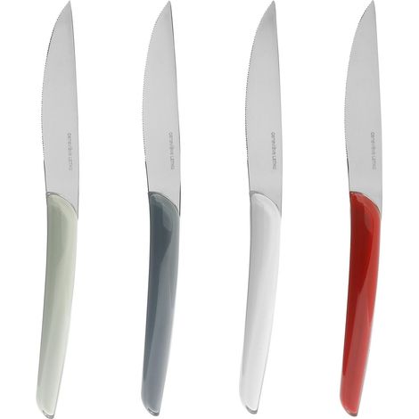 Set de 4 Couteaux à steak - lame en Acier Inoxydable L 22,5 cm - Manches Multicolores en plastique - Couteau viande Compatible Lave-vaisselle (1/5)