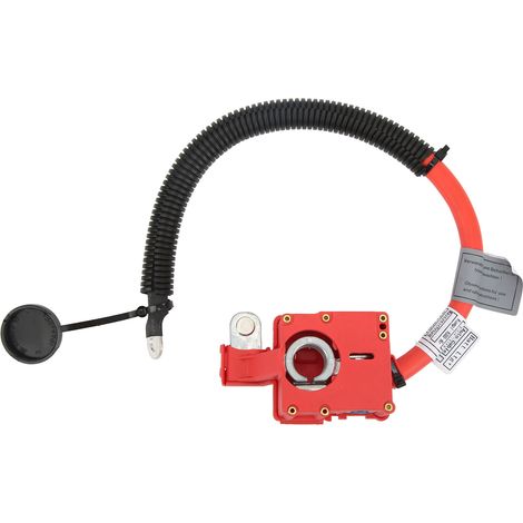 Câble batterie positif avec cosse cuivre, fil de connexion 61129217004 pour BMW X5 E70 X6 E71 E72, borne terminal (1/5)