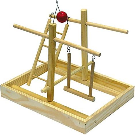 Croci Gioco Cocoriti Palestra
