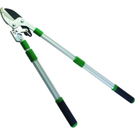 TAGLIARAMI PAPILLON TG/BATTUTA CRICCO 1015MM MANICI ALLUM.ESTENS. (1/2)