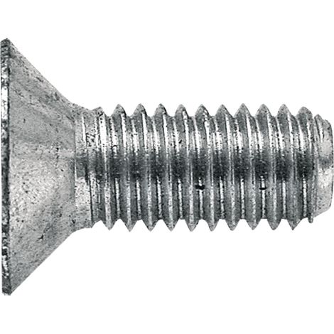 Tornillo de fijación para carro alimentador de ensilaje con cabeza cilíndrica BvL 60922