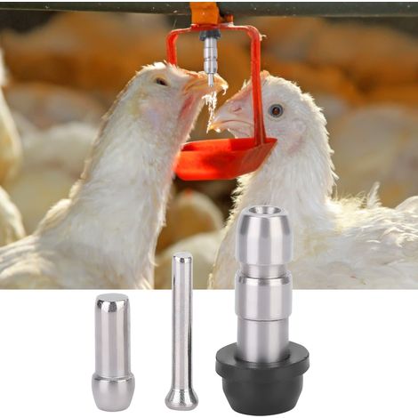 Lot de 10 abreuvoirs automatiques à tétine en acier inoxydable pour poulets, accessoires pour l'élevage (1/5)
