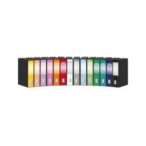 Esselte Dox 2 raccoglitore ad anelli A4 Grigio (1/3)