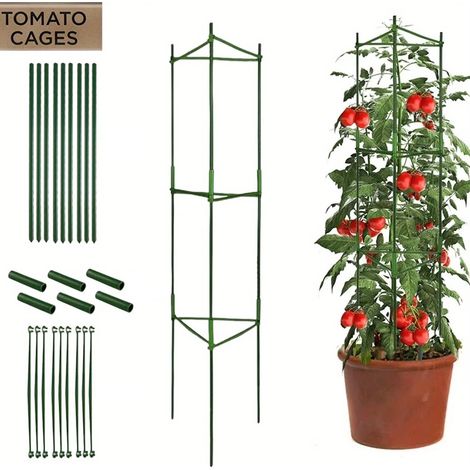 Tomatenstütze (1 Stück) — Gartenpflanzenstützrahmen — Pflanzenstab bis 120 cm Höhe — Spezielle Stütze für Topfpflanzen — Pflanzensäule