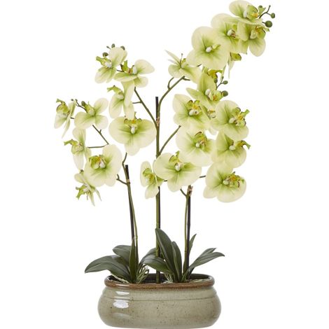 Large Green Orchid Pot - Ceramic/Plastic - L9 x W52 x H73 cm