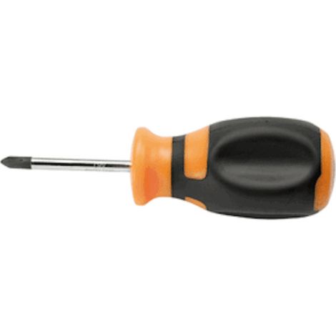 CACCIAVITE NANO PHILLIPS PUNTA PH 2 MAGNETICA (1/2)