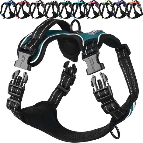 Harnais Anti-Traction pour Chien, Harnais d’Entraînement et de Promenade, Anti-Tirage pour Chiot avec Poignée, Sécurisé Anti-Fugue et Non-Stop, Vert Paon - Plain, XS (1/5)