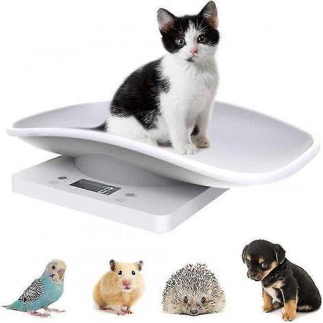 Balance électronique numérique pour animaux de compagnie. balance de cuisine avec écran LCD. 10 kg / 2 (1/4)