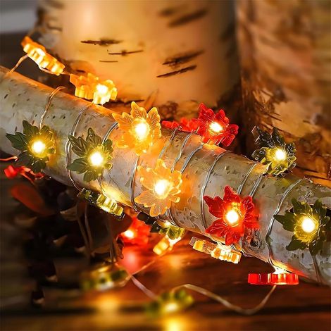 Lumières décoratives automnales 2 m – 20 LED en forme de feuilles d’érable, éclairage à piles pour décoration de saison, Thanksgiving, Halloween et Noël (1/5)