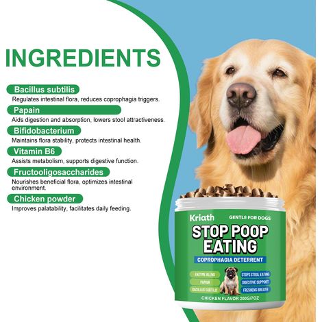Comprimés à croquer pour chiens, complément nutritionnel multiple pour l'alimentation et les soins quotidiens des chiens, convient à de nombreuses races – 200 g (1/5)