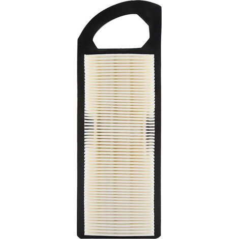 Filtre à air pour moteurs Briggs & Stratton 14‑17.5HP, modèles 697153, 698083, 795115, 653202, 695547, 697014 (1/5)