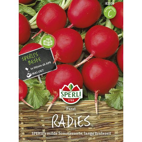 Sperli – Radis Parat (Raphanus sativus) – Graines de légumes, gros bulbes fermes, ne devient pas spongieux, hauteur env. 15 cm (1/2)