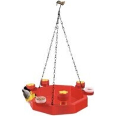 Abreuvoir Oiseaux Exterieur à Suspendre, Bains pour Oiseaux Sauvages, Baignoire Oiseaux Jardin, Bain d'oiseaux pour Jardin Suspendu Mangeoires Plastique Perchoir Oiseaux Canaris Colibri (A) (1/5)