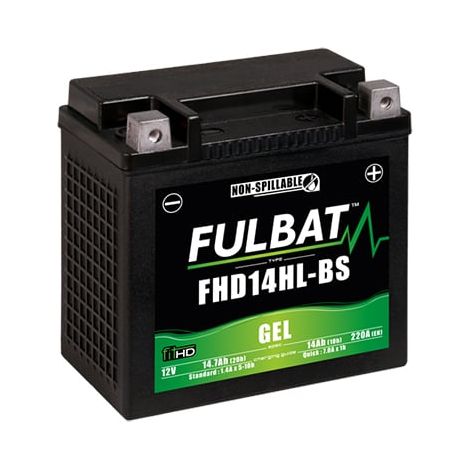 Fulbat – Batterie moto Gel 12V 14Ah – Technologie plomb étanche gel – Compatible Harley Davidson Sportster – Durée de vie prolongée (1/3)