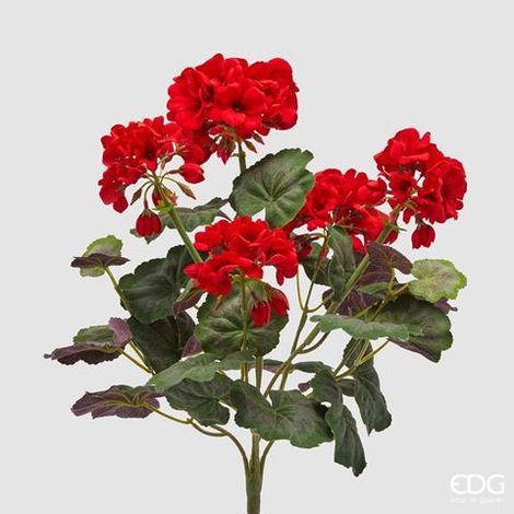 EDG Geranio Cespuglio x 5 Con Foglie Rosso H 45 cm (1/4)
