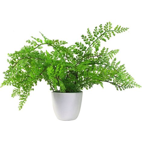30cm Artificial Potted Royal Fern (1/5)