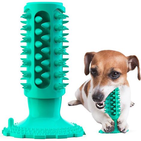 Brosse à dents pour chien avec ventouse pour nettoyage des dents, bâton molaire, jouets pour morsures de chien (1/4)