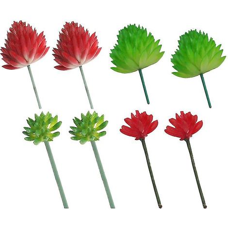8 plantes succulentes (1/3)