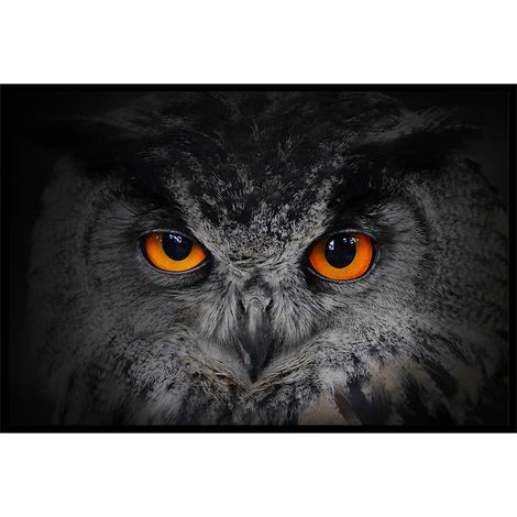 Affiche encadrée – Hibou aux yeux orange, regard hypnotique (1/5)