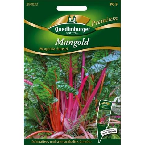 Quedlinburger Mangold Magenta Sunset - Gemüsesamen (1/2)