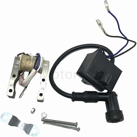 Module d'allumage CDI pour moteur de moto 49cc 60cc 80cc (1/5)