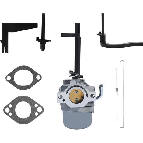 Carburateur Nikki pour Souffleuse à Neige Briggs & Stratton - Remplace 591378, 699966, 699958 (1/5)