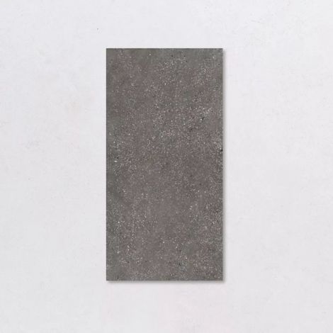Carrelage Effet Terrazzo AMA 60x120 cm Graphite Ama (1/3)