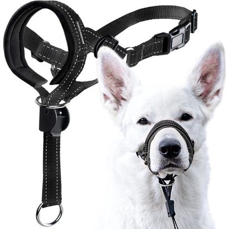 Bozal para perros, Bozal ajustable para mascotas, Collar acolchado para perros pequeños, medianos y grandes (talla XL), color naranja (1/5)