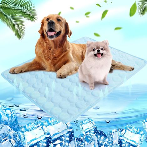 Tapis Rafraîchissant Chien, Tapis Coussin Réfrigérant Chien Froide Chien Tapis Lavable pour Animaux de Compagnie Adapté aux Petits Chiens et Chats, Bleu Clair, 100x70cm