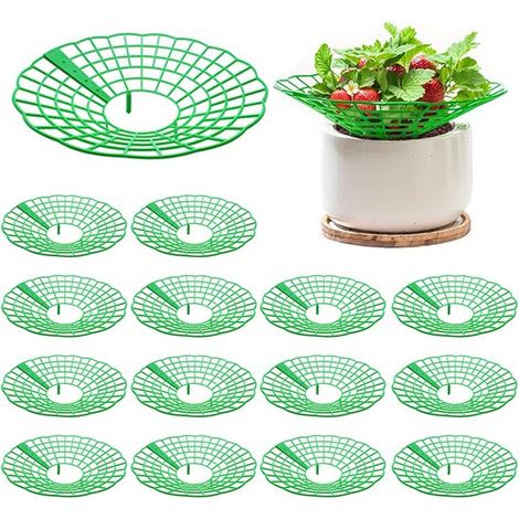 Lot de 15 supports pour fraisiers, plantes en pot, fruits et autres plantes. Diamètre : 30,6 cm. Vert. Convient pour soutenir la croissance des fraisiers, légumes, fleurs et autres plantes. (1/5)