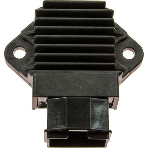 Regulador de voltaje Tourmax (RGU-107)