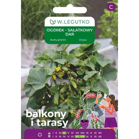 Graines de concombre moulues pour salade de balcon, cadeau 5g LEGUTKO (1/2)