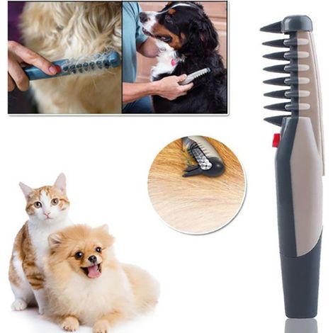 1 Peigne électrique, dents arrondies, poignée ergonomique, pour chiens et chats（Q3 : Nouveaux produits pour le mois d'août） (1/5)