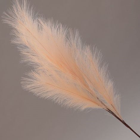 Conti Ramo Pampas 105 Cm Soft Pink
