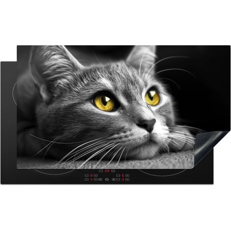 PROTECTION PLAQUE INDUCTION Chat - Gris - Animaux - Chat Tapis Pour Induction 89.6x51.6 cm (1/5)