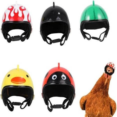 Lot de 5 casques de sécurité pour poules et petits animaux (coqs, perroquets) (1/5)