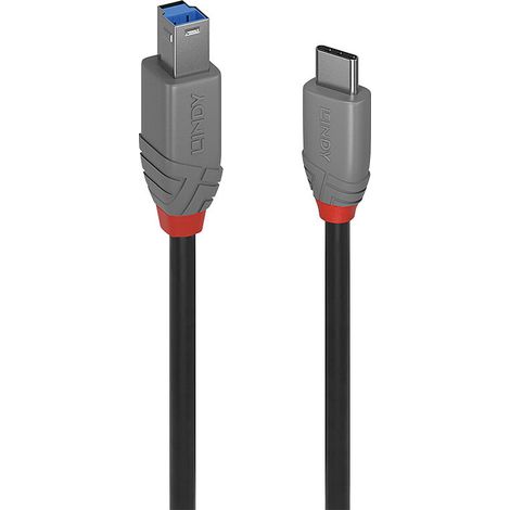 Cable USB-C a USB B LINDY 36666 1 m