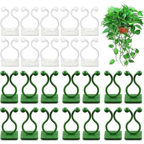 100 pezzi Clip di supporto per piante Clip per piante rampicanti Clip invisibili per piante Clip di fissaggio per montaggio a parete per piante 100 pezzi Clip di supporto per piante rampicanti, di (1/4)