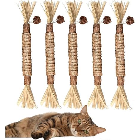 Lot de 5 Bâtonnets à Mâcher pour Chats en Bois Naturel – Jouets avec Herbe à Chat, Jeu Interactif Intérieur & Nettoyage Dentaire (1/5)