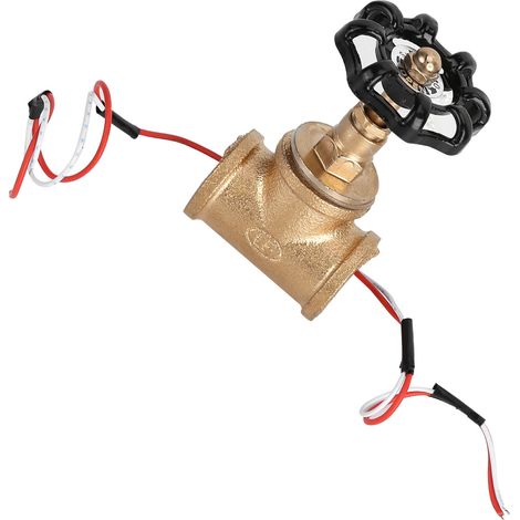 Interrupteur Lampe Vintage Steampunk Industriel Noir avec Fil Rouge et Blanc (1/5)
