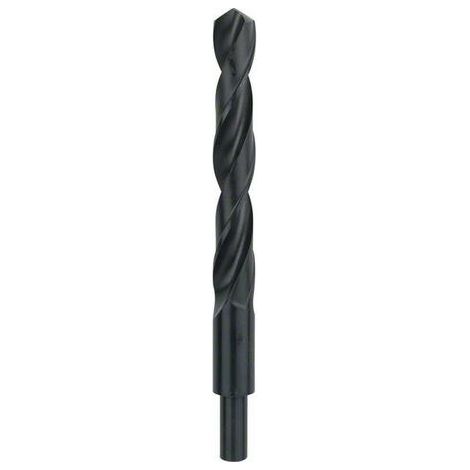 BOSCH PUNTA HSS-R D. 18 L. 191 MM C/CODOLO 12 METALLO