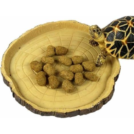 Gamelle Reptile Petit Modèle – gamelle, Bol d’Eau, Bol à Nourriture pour Les Reptiles, Les Geckos, Les Tortues, Les Serpents - Accessoires terraristiques (Souche) (1/4)