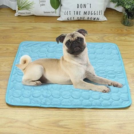 Tapis rafraîchissant pour chien et chat soixante dix sur cinquante cinq centimètres matelas auto refroidissant pour animaux (1/5)