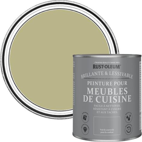 Peinture Verte pour Meubles de Cuisine, Finition Brillante - Vert sauge 750ml (1/5)