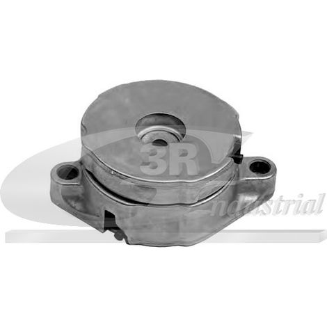 3RG 13313 RODILLO TENSOR