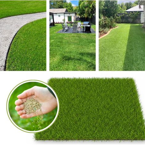 Gazon À Semer Facile À Planter 500g (15–20 m²) – Pousse Rapide Pelouse Rustique Vert Vif pour Ombre et Zones Fraîches – Semence Résistante (1/5)