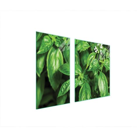 Plaque de protection en verre POUR le four 90x52 basilic (1/5)