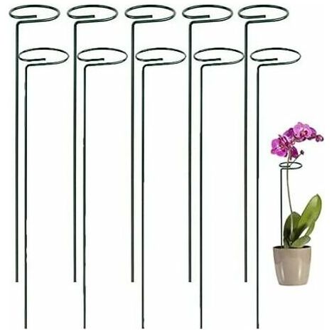 Lot de 10 supports pour plantes grimpantes en acier CRUEL - Cage à plantes - Anneau de support métallique - Petit pot de jardin - Treillis (35,5 cm) (1/4)