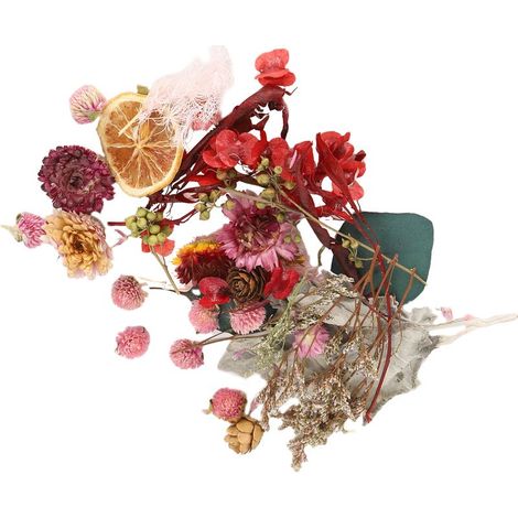 Lot de 2 fleurs séchées colorées, séchées naturellement à l'air libre, pour la confection de bouquets et la décoration. (1/5)